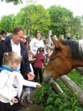 Воспитанники воскресной школы совершили паломничество "Сынковичи-Жировичи"
