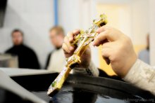 Чин великого освящения воды, д. Поречье Чин великого освящения воды, д. Поречье