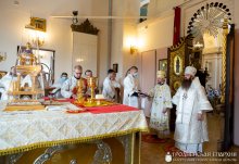 13.06.2021. Фоторепортаж Вадима Папко 13.06.2021. Фоторепортаж Вадима Папко